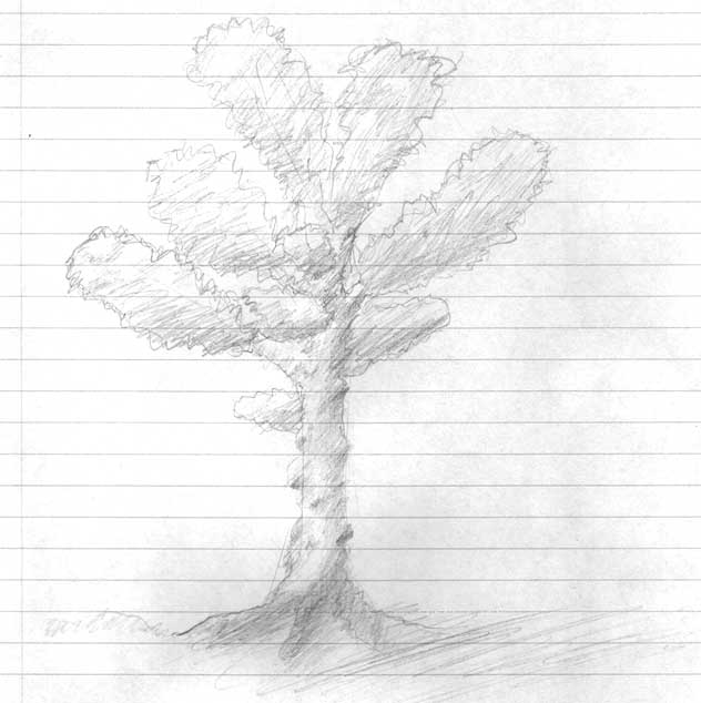 Another Random Tree
