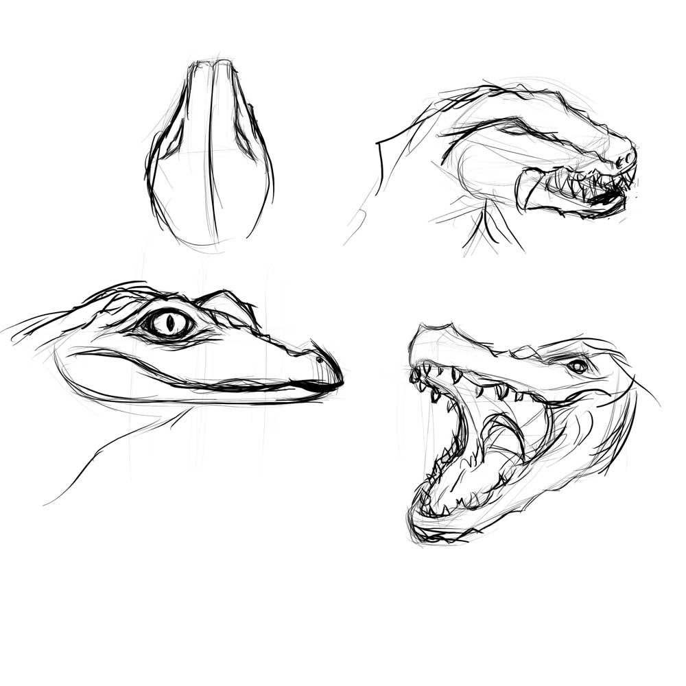 Lizards & Crocodiles
Random sketches of lizards / crocodiles - I'm particularly crap at drawing them as they're so different from people, so I thought I'd have a go...
Keywords: Lizard Crocodile Sketch