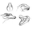 Sketch09-Lizard.jpg
