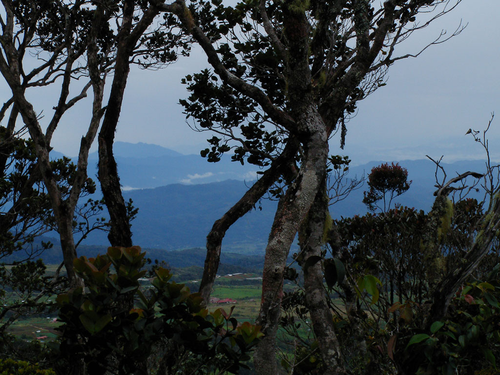 Neighbouring Mountains
