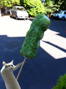 Filename=IMG_0525.jpg
Filesize=118KiB
Dimensions=500x670
Date added=Sep 16, 2012 IMG_0525.jpg